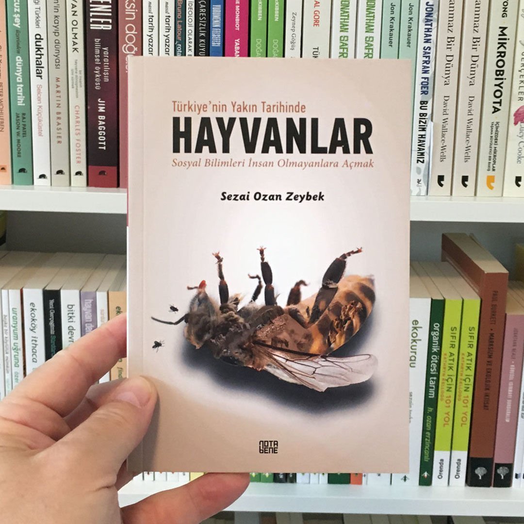 SEZAİ OZAN ZEYBEK