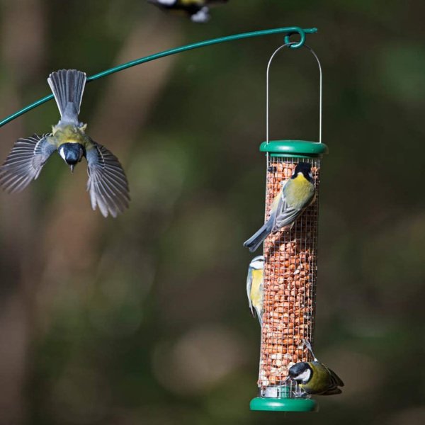 RING PULL (PEANUT) FEEDER - MEDIUM