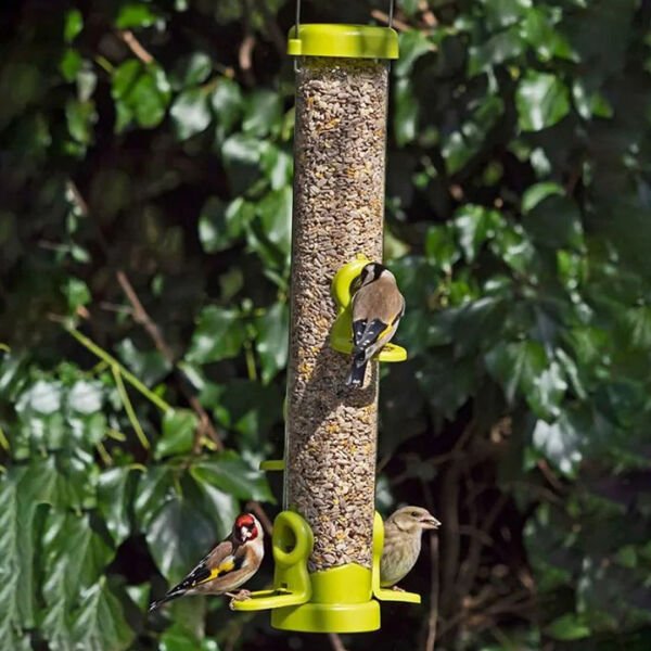 FLO LIME (SEED FEEDER) - MEDIUM