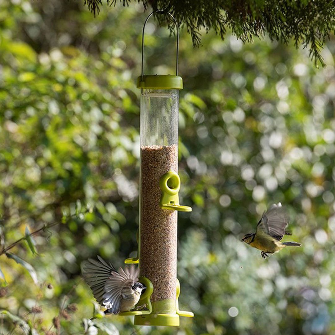 FLO LIME (SEED FEEDER) - MEDIUM