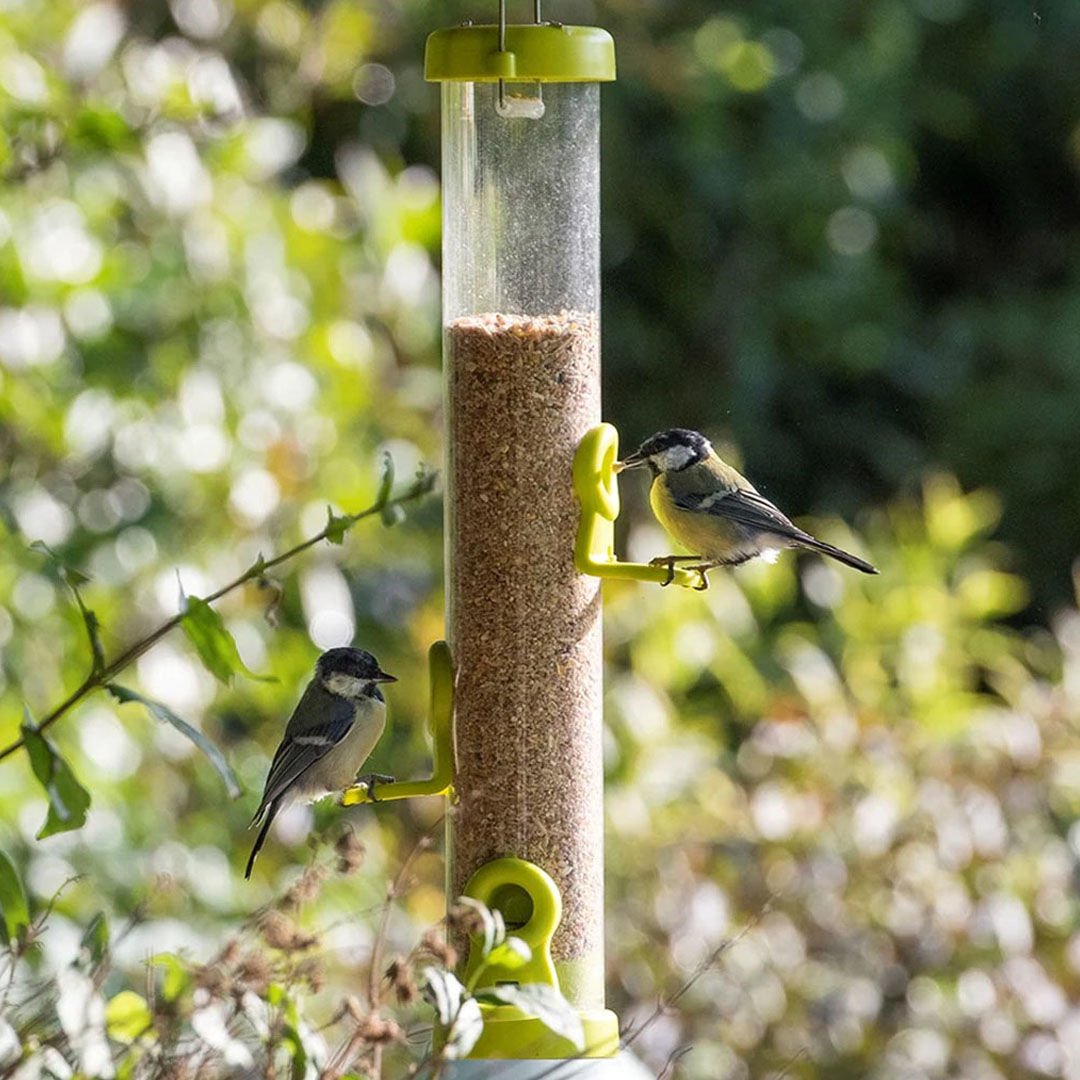 FLO LIME (SEED FEEDER) - LARGE