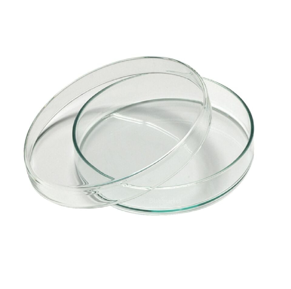 GLASS PETRI DISH 80 MM 10 PIECES PACK