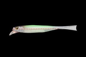 Jackall Driftfry 4.0'' 10.1cm 5pcs Silikon Yem