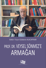 Anı Yayıncılık Prof. Dr. Veysel Sönmez'e Armağan - Füsun Gülderen Alacapınar Anı Yayıncılık