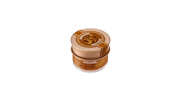 Skinfood Salmon Sodium Dna Concealer Cream No.2 Beige