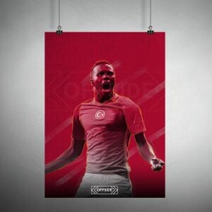 Bruma Poster