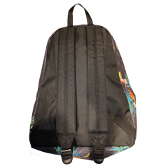 Reef Windsurfer Backpack-Sırt Çantası Gri
