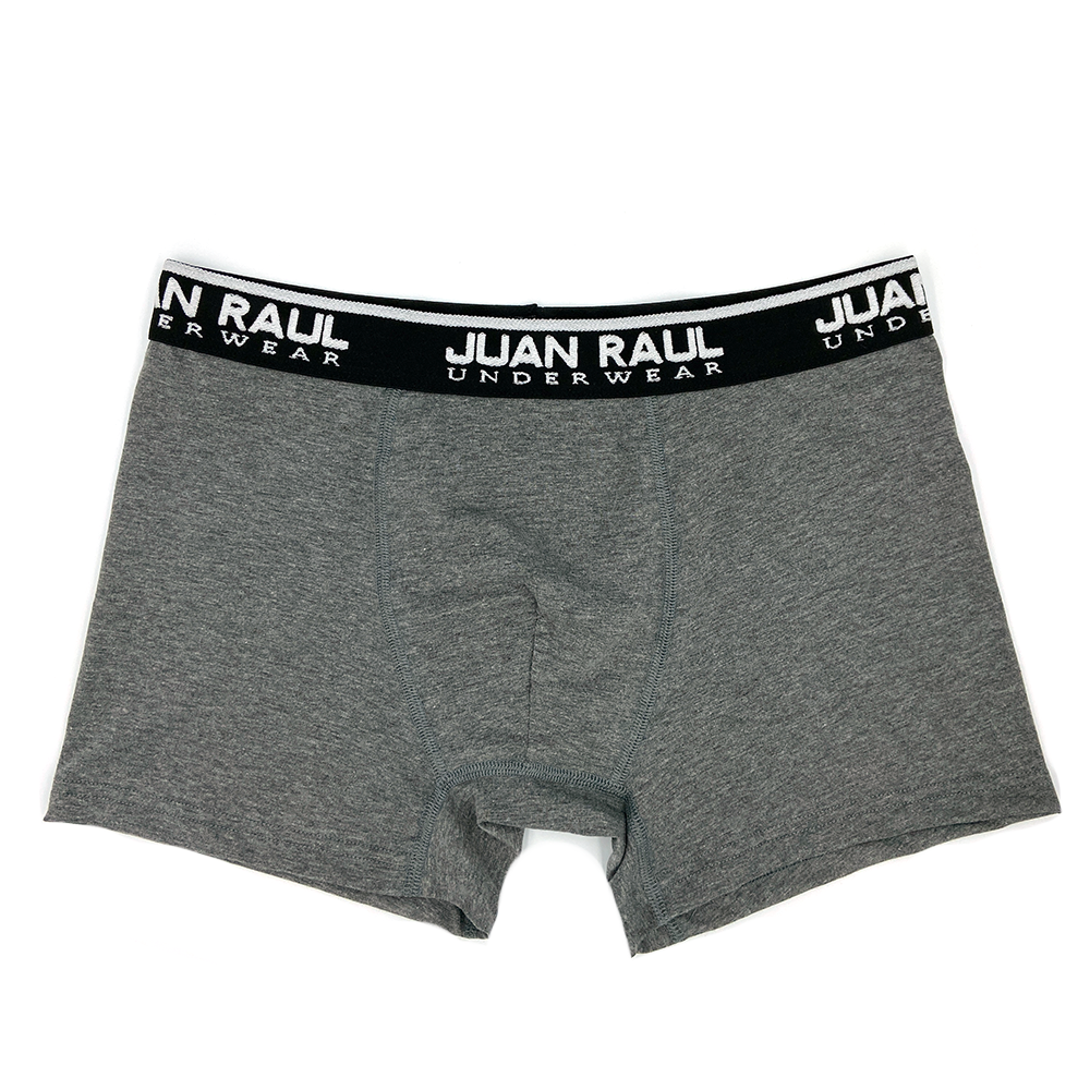 Juan Raul Erkek Boxer Düz Gri XXL