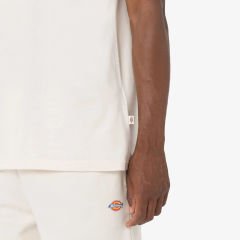 Dickies Mapleton Tee T-Shirt-Bej