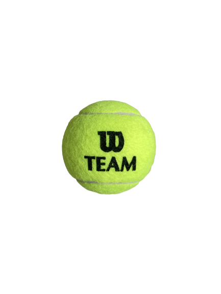 Wilson Tenis Topu Team W Practice