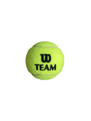Wilson Tenis Topu Team W Practice