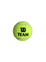Wilson Tenis Topu Team W Practice