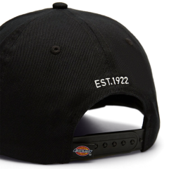 Dickies Hardwick Baseball Cap Şapka-Siyah