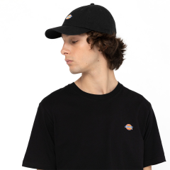 Dickies Hardwick Baseball Cap Şapka-Siyah