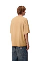 Carhartt Hudson  T-Shirt Hardal