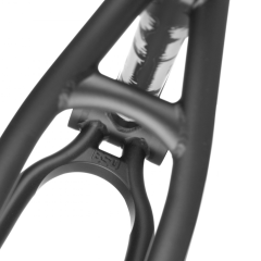 Bsd Alvx Alex Donnachie Kadro-Frame Siyah