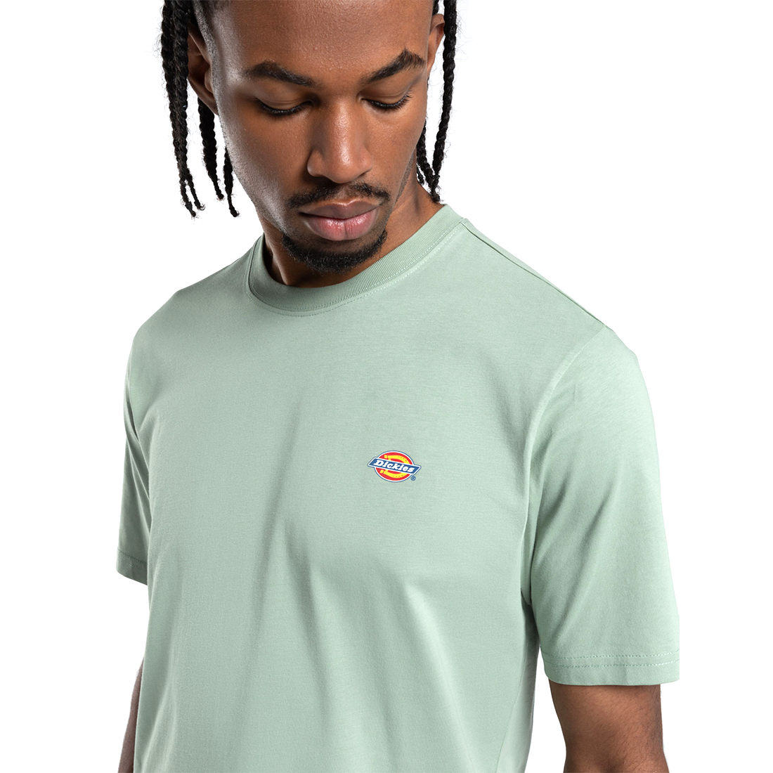 Dickies Mapleton Tee T-Shirt-Beyaz
