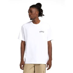 Dickies Snake Ss Tee T-Shirt-White