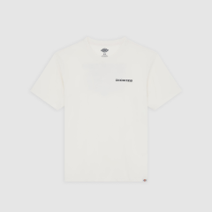 Dickies Landascape Ss Tee T-Shirt-Bej