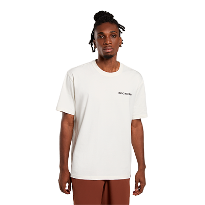 Dickies Landascape Ss Tee T-Shirt-Bej