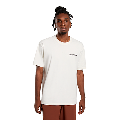 Dickies Landascape Ss Tee T-Shirt-Bej