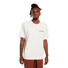 Dickies Landascape Ss Tee T-Shirt-Bej