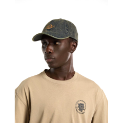 Dickies Denim Dad Cap Şapka-Yeşil