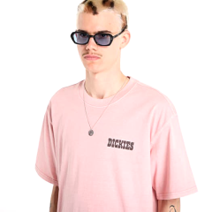 Dickies Buchtell Short Sleeve T-Shirt Pembe