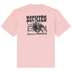 Dickies Buchtell Short Sleeve T-Shirt Pembe