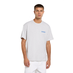 Dickies Dry Ridge Ss T-Shirt Gri