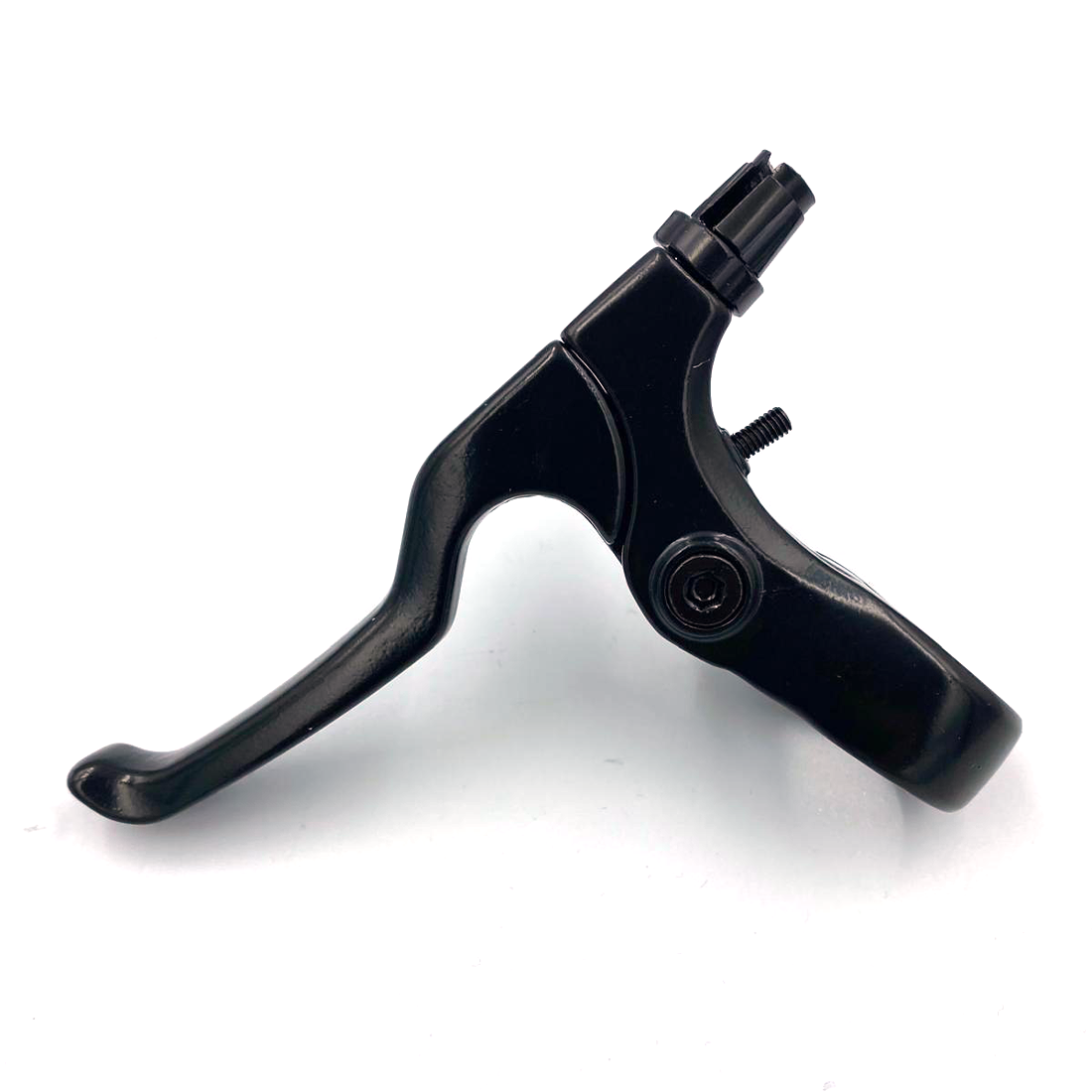 Lee Chi Fren Kolu-Sol