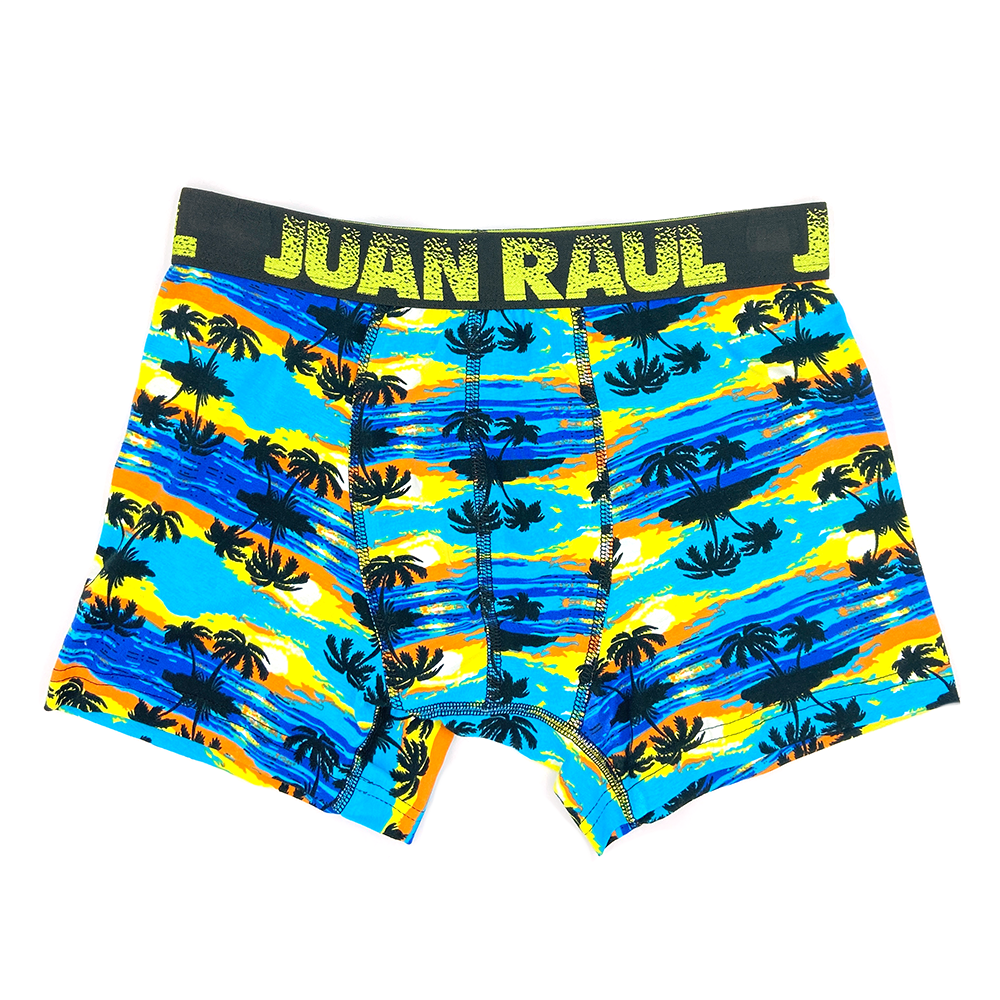 Juan Raul Erkek Boxer Hawaii Desenli