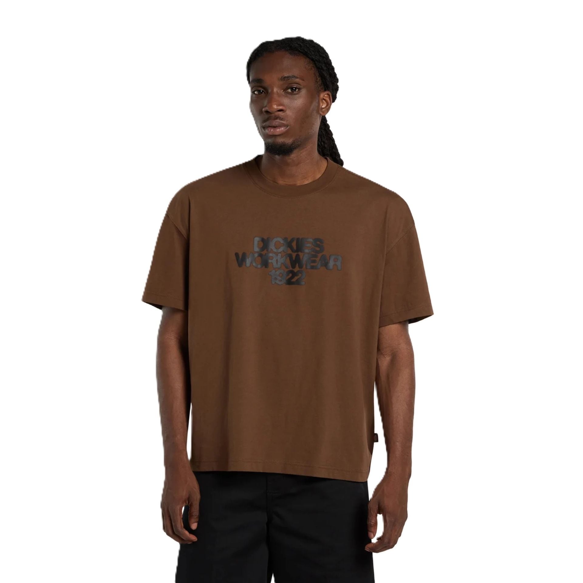 Dickies Torrey Shortsleeve T-Shirt Kahverengi