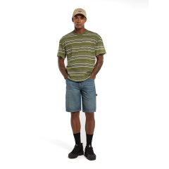 Dickies Carpenter Denim Shorts-Şort Mavi