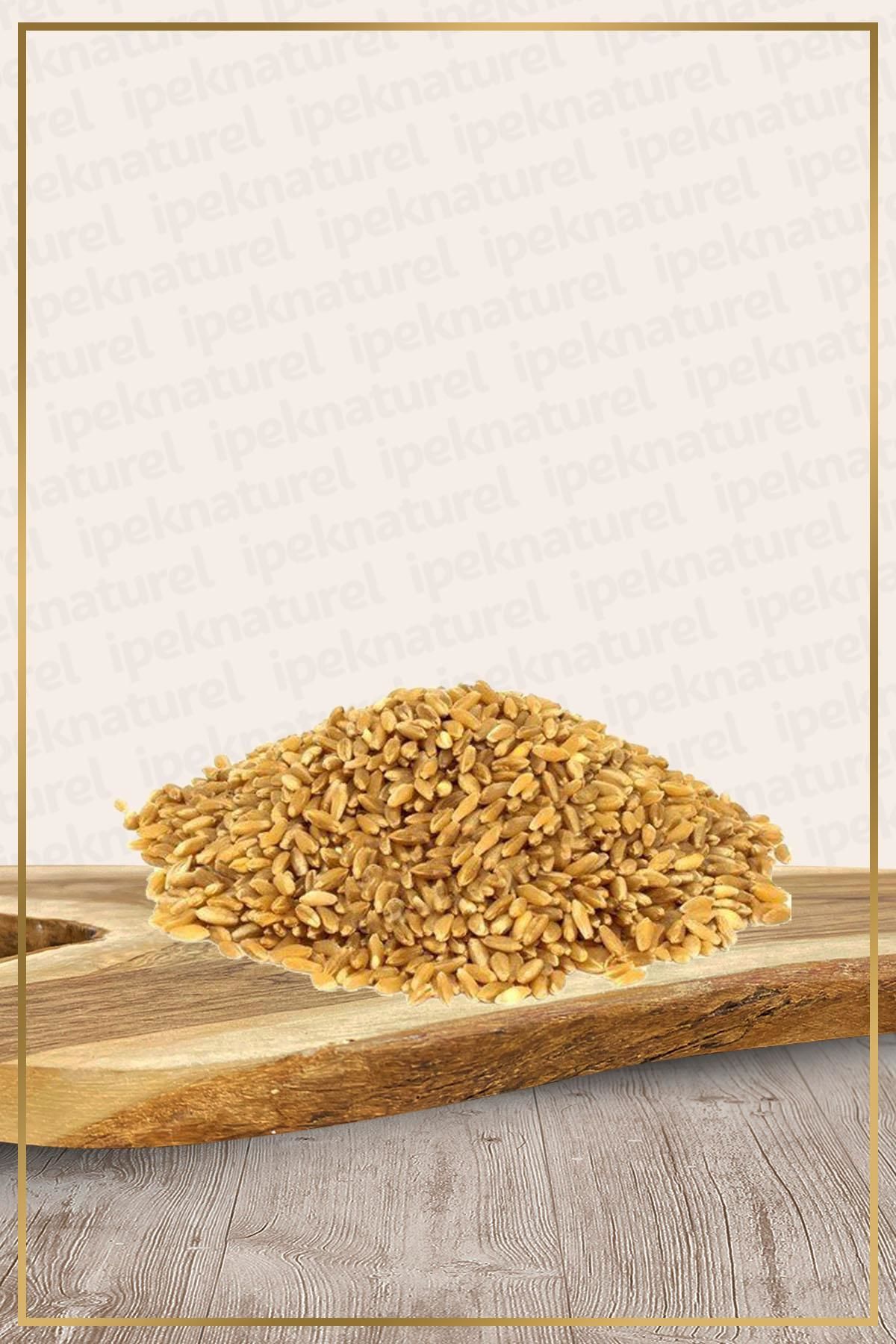 Hediklik Buğday (Diş Buğdayı) 1 KG