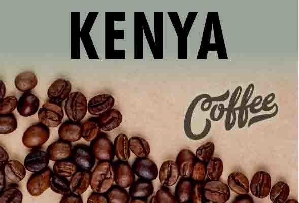 Kenya Kahvesi ve Özellikleri