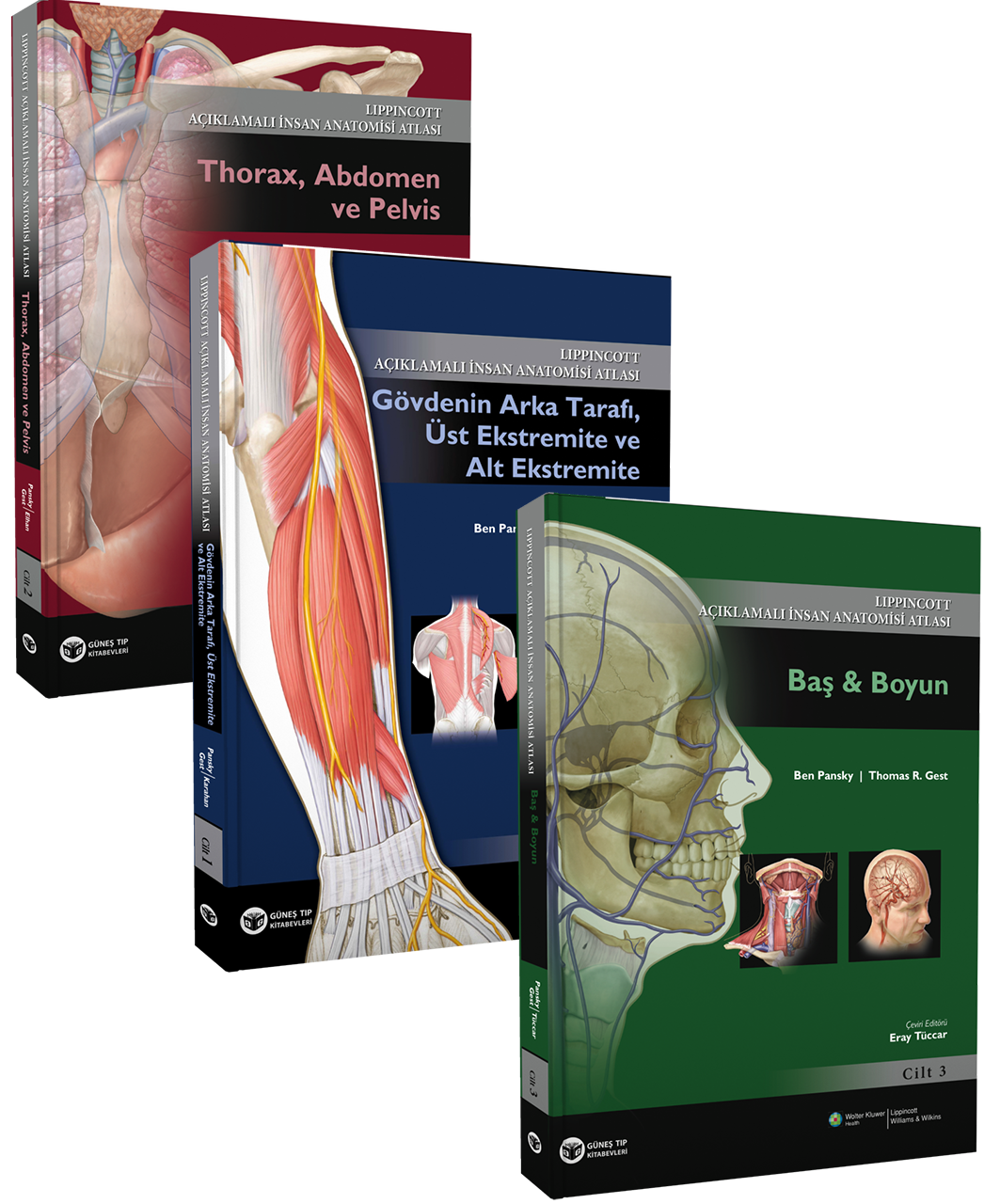Açıklamalı İnsan Anatomisi Atlası 1-2-3