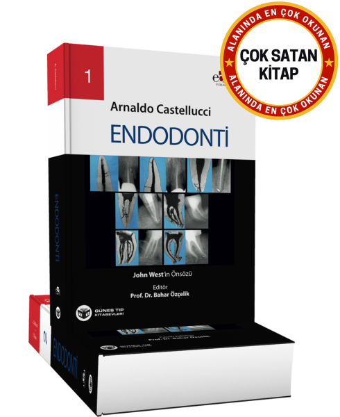 Endodonti 2 Cilt