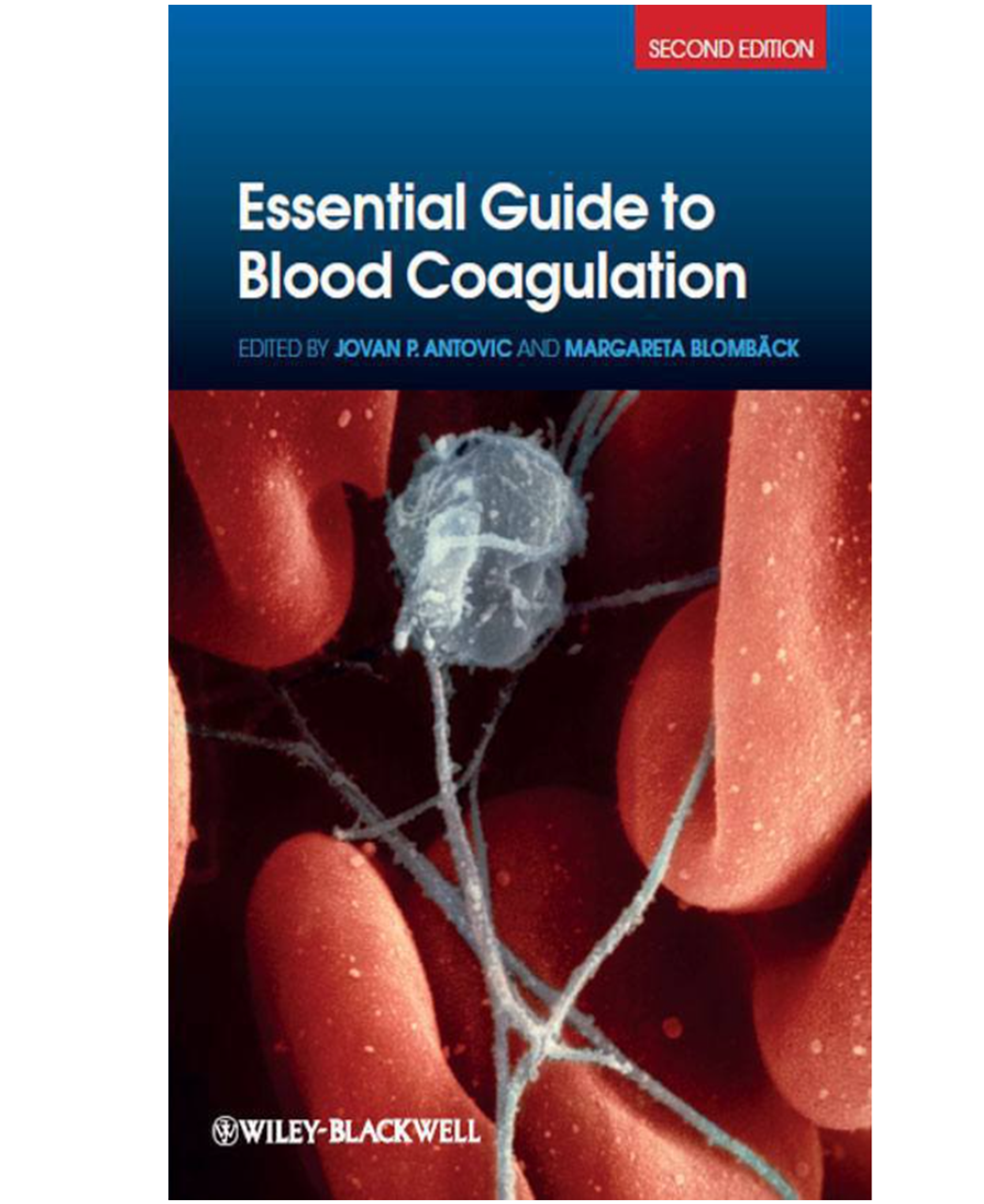 Essential Guide to Blood Coagulation