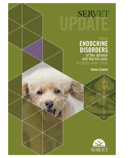 Servet update. Main endocrine disorders of the adrenal and thyroid axes in dogs and cats