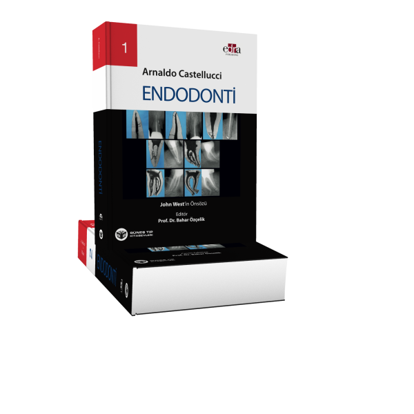 Muhteşem Endodonti Seti