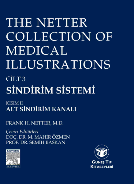 The Netter Collection Of Medical Illustrations Sindirim Sistemi: Alt Sindirim Kanalı