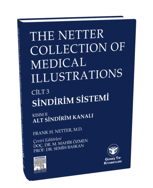 The Netter Collection Of Medical Illustrations Sindirim Sistemi: Alt Sindirim Kanalı