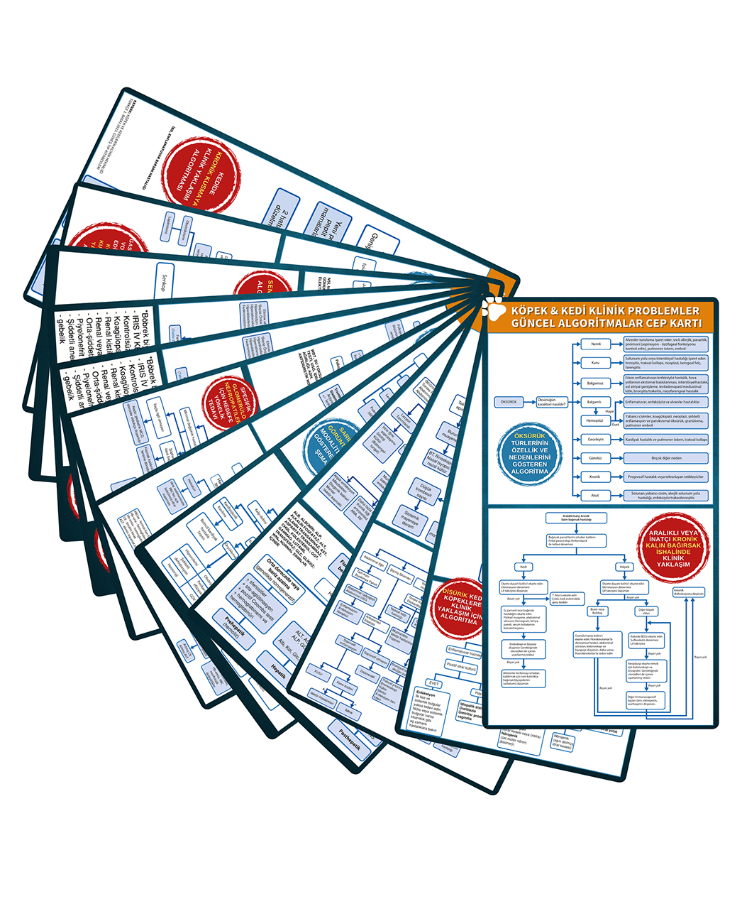 Köpek & Kedi Klinik Problemler Güncel Algoritmalar Cep Kartı