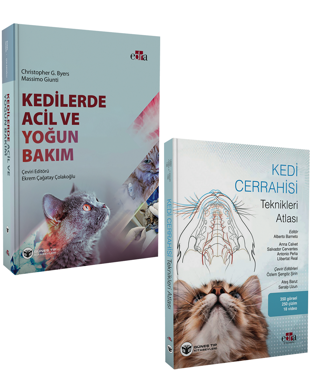 Muhteşem Kedi Cerrahisi Seti