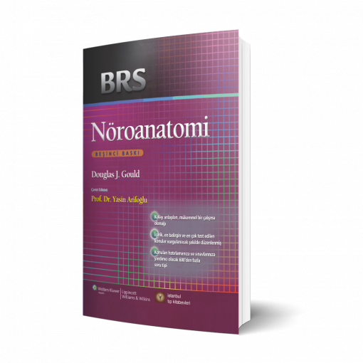 BRS NÖROANATOMİ