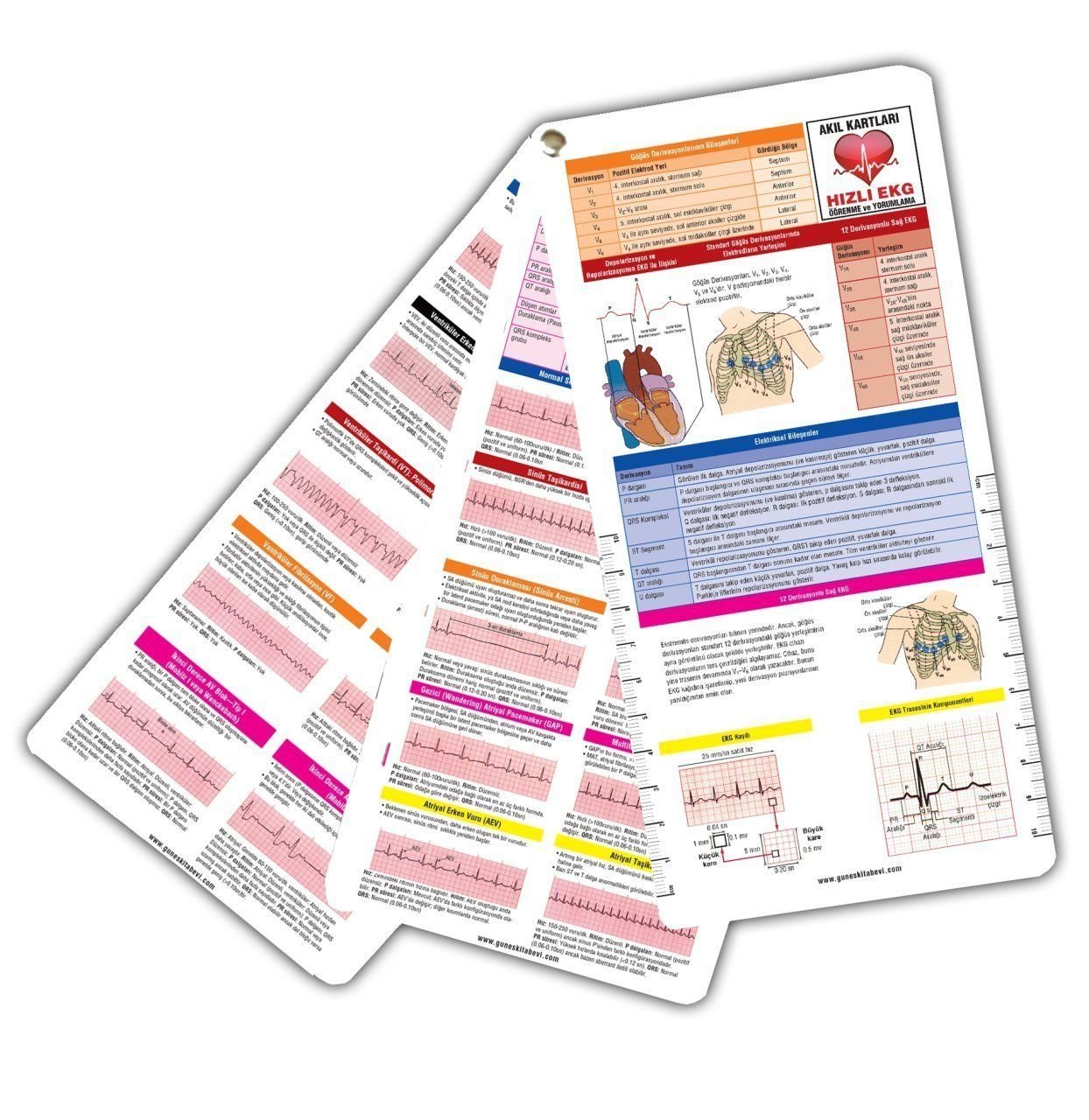 Hızlı Ekg Öğrenme ve Yorumlama Cep Kartı (Pvc)