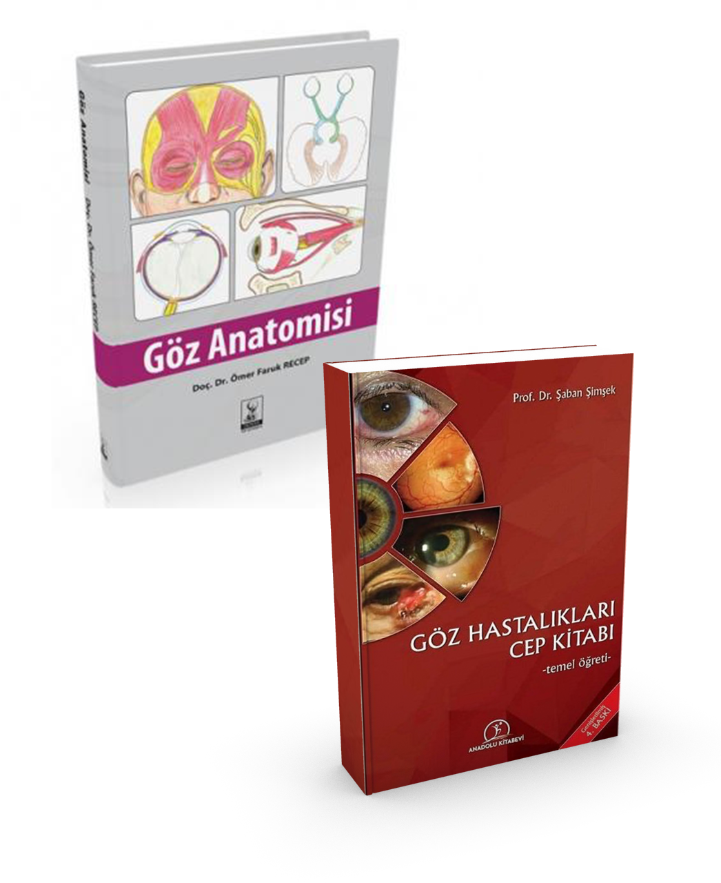 Göz Anatomisi + Göz Hastalıkları Cep Kitabı