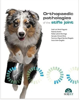 Orthopaedic Pathologies of The Stifle Joint