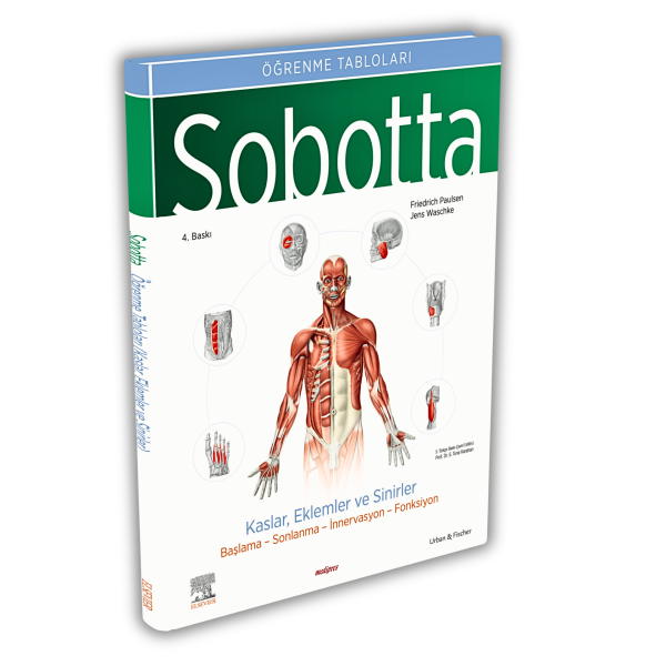 Sobotta İnsan Anatomisi Atlası Seti 4 Cilt (13. En Son Türkçe Baskı)